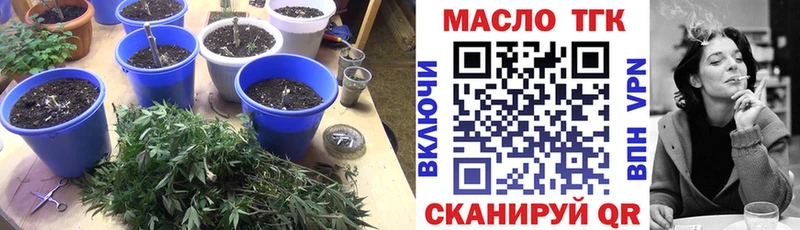 Дистиллят ТГК вейп с тгк  сайты даркнета как зайти  Куртамыш  где можно купить наркотик  ссылка на мегу зеркало 