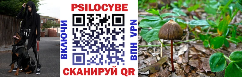 закладка  Куртамыш  Псилоцибиновые грибы GOLDEN TEACHER 